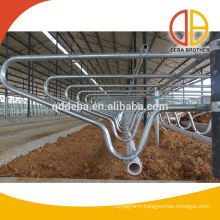 Hot-Dip Galvanized Cow Free Stall